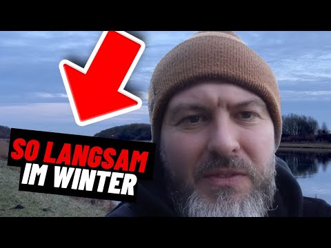 Köderführung für Winterzander – das richtige Tempo erklärt