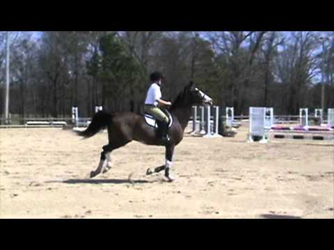 Picasso jumper 1 sun