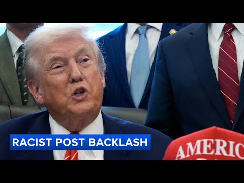 White House takes down racist video shared by Trump about Obamas after backlash