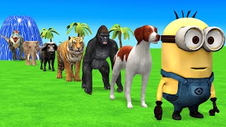 Long Slide Game with Cow Elephant Gorilla Hippopotamus Tiger 3d Animal Game Funny 3d Animals