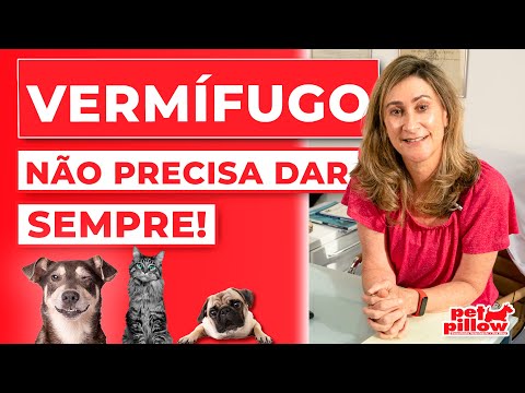 Verminoses: saiba o que são e como tratar | Quando devo vermifugar meu pet? | Dra. Michele Sandrault