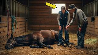 A veterinária disse que o cavalo NÃO SOBREVIVERIA… até o avô pedir 10 MINUTOS