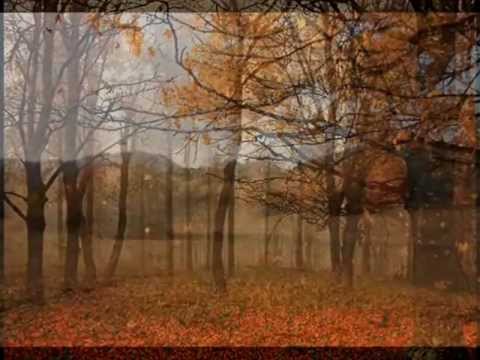 PAVOL HAMMEL - V každom počasí  (Hráč) 1974.avi