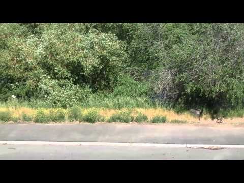 2014 new mobile home