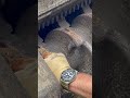Sharpening the teeth of the beast