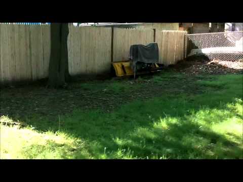 48 Prescott St Hyde Park, MA 02136