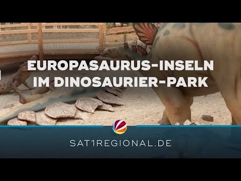 Europasaurus-Inseln im Dinosaurier-Park Münchehagen