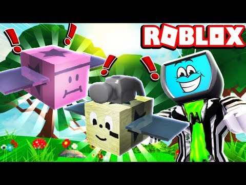 Codes Roblox Weight Lifting Simulator 3 More Muscle More - 