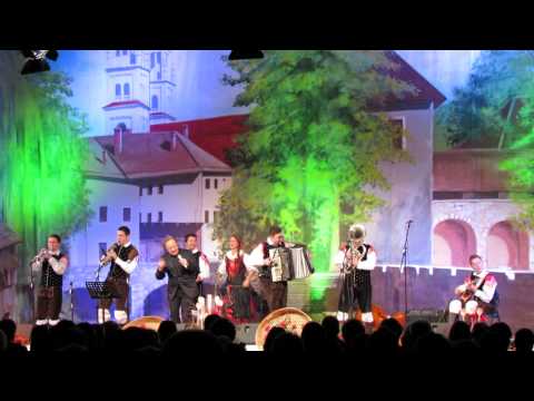 Alfi Nipič & Savinjski kvintet - Ostal bom muzikant (Savinja Oberkrainer)