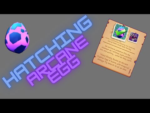 Dragons Adventures | Hatching The Arcane Egg | Quest
