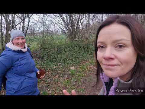 Wanderung zum Venner Moor
