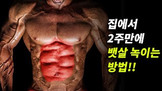 집에서 순식간에 뱃살 빼는 다이어트 운동 (버피테스트, 스쿼트, 홈트레이닝)