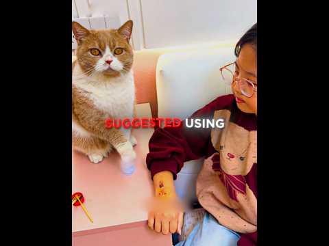 This Cat Is A True FRIEND 😻💚 #shorts