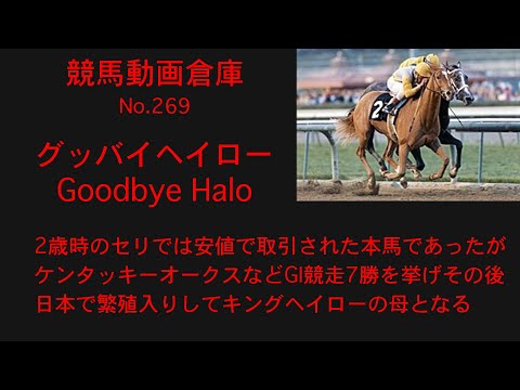【競馬】グッバイヘイロー　Goodbye Halo【No269】