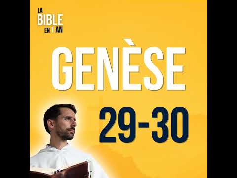 D14 - Jacob's family is formed - morning ☼