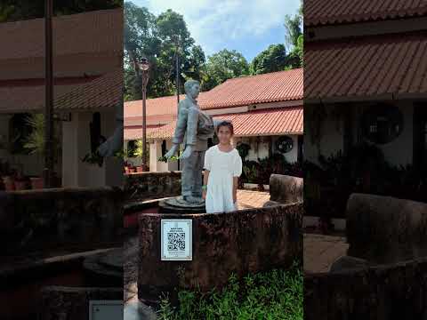 #singer #goadiaries #beach #goafun #jamia #travel #waves #love #song #bagabeach #singurium