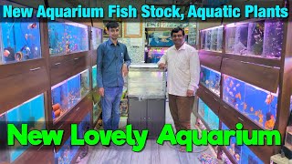 Aquarium Fish Stock at New Lovely Aquarium Store in Kalyan