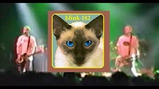 BLINK-182 Ben wah balls MONTREAL 1996