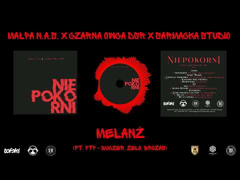 Małpa N.A.S x Czarna Owca DSR x Sarmacka Studio - Melanż (ft. PTP)