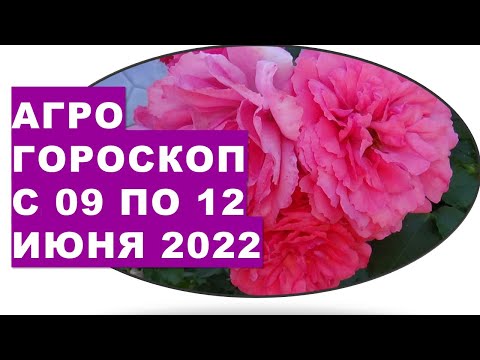 , title : 'Агрогороскоп с 09 по 12 июня 2022 года'