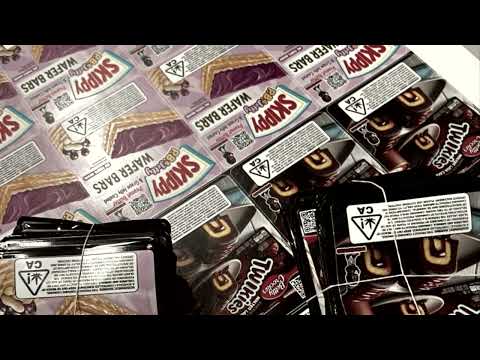 FORGIVE ME FOR MY SINS FT XSTURDYY & JEFFBEENPAID 