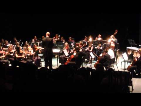 Youth Orchestra of the Lowcountry