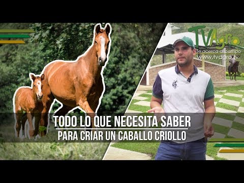 , title : 'Todo lo que Necesita Saber para Criar un Caballo Criollo - TvAgro por Juan Gonzalo Angel'