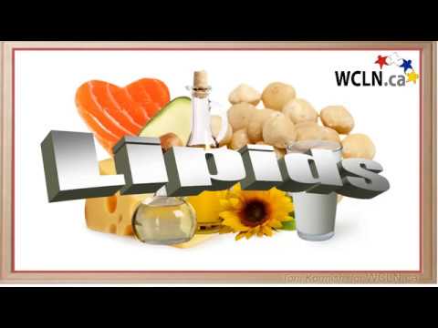 WCLN - Lipids - Biology