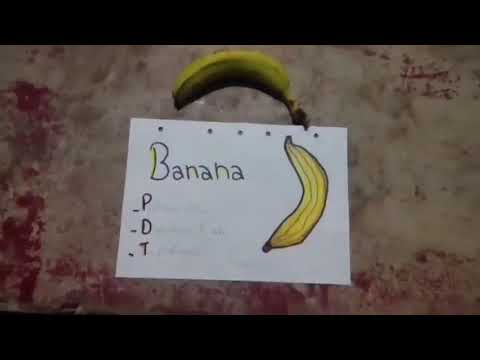 LOS PILARES DE LA NUTRICIÓN