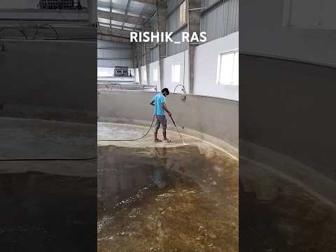 RAS Tank cleaning #aquaculture #fishfarming #farm #farming #farmer #fish #success #shorts #business