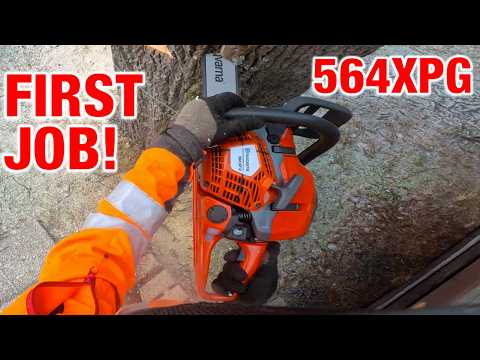 2025 Job 40: First Real Job With The Husqvarna 564 Xpg Tight Space Tree Removal