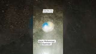 Download lagu Karya Muhammad Syahrizal mp3 Download lagu Karya Muhammad Syahrizal mp3