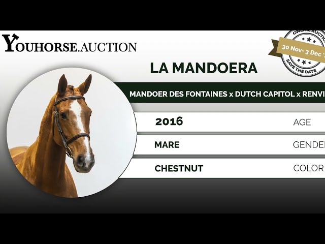 La Mandoera homevideo