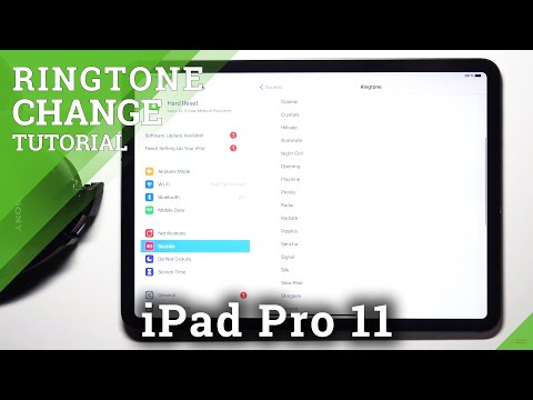 How to Change Ringtone in iPad Pro 11 - Set Up Phone Ringtone in APPLE iPad