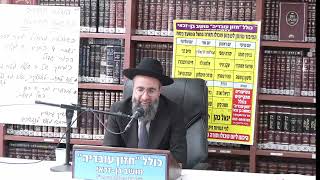 הרב אלמוג לוי   הנהגות חשובות לימי העומר .