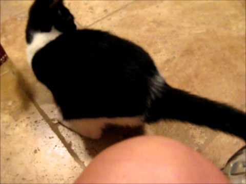 Spatch and Lib Strong bracelets