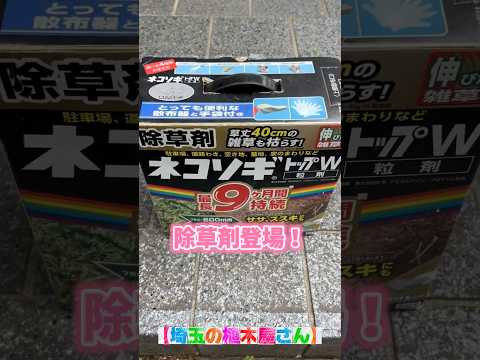 自家製の天然除草剤: 雑草との戦いに勝つための効果的なレシピの新しい部分  庭園