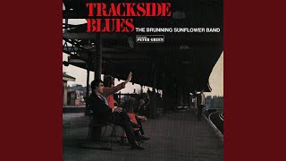 If You Let Me Love You (feat. Peter Green)