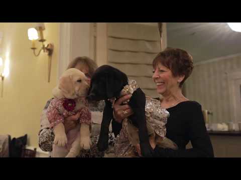 Dogs on the Catwalk 2018 - featuring Anthony Rubio