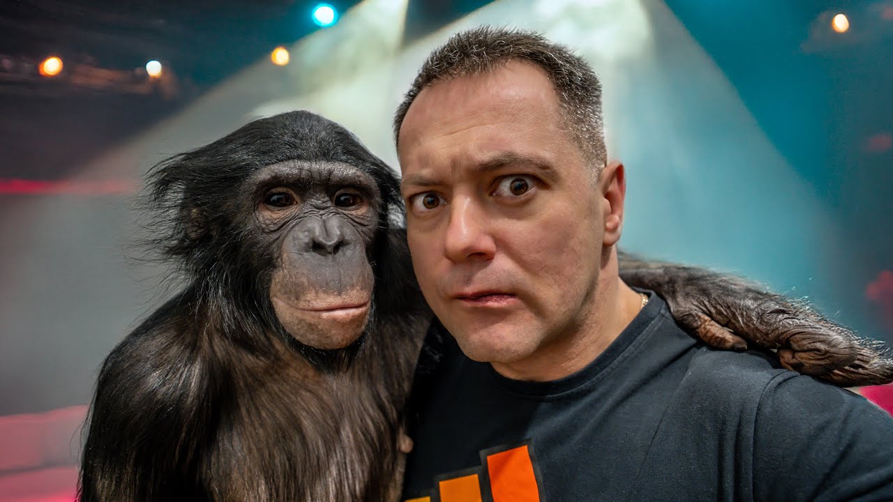 Как Прошла Первая Тренировка с Шимпанзе в Этом Году?