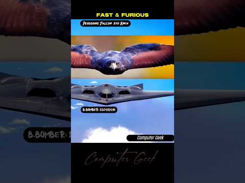Peregrine Falcon vs B-2 Bomber: The Ultimate Speed Showdown #animals #bomber #nature