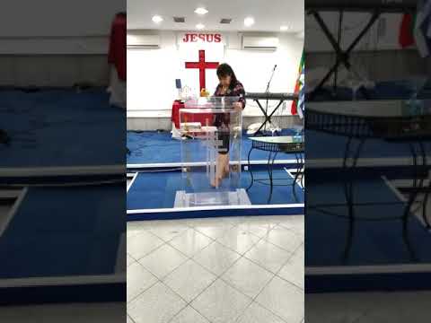 Leninha - Ramo Frutífero