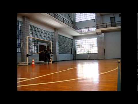 Treino Botafogo Goleiros 2012