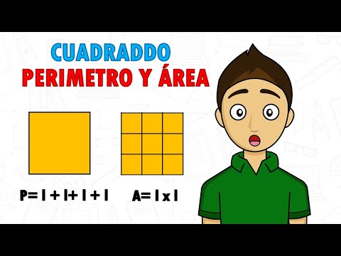 PERIMETER AND AREA OF THE SQUARE Super easy - For beginners