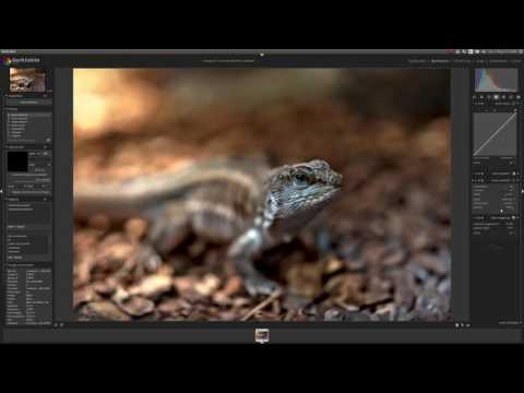 Using Blending Modes to Make Adjustments More Precise in Darktable