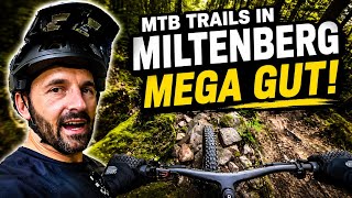 Die MTB Trails in MILTENBERG sind einfach MEGA GUT! | Gefahren mit Focus JAM² 6.