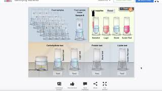 Identifying Nutrients Gizmo