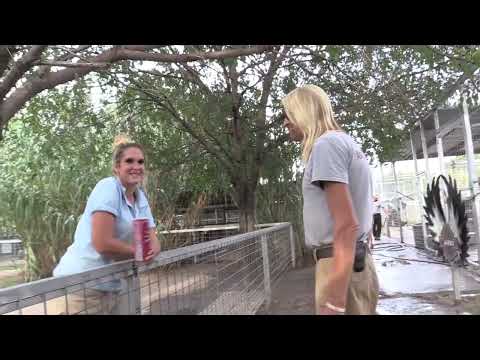 Tiger Tales: Tension building at the zoo. Erik Cowie calls Allen Glover inbred; park maintenance