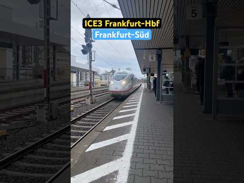 Frankfurt-Süd Vorbeifahrt RB407/ICE3➡️Frankfurt-Hbf mit lichtsgruß Danke#br407 #ice3#lichtgruß#shor￼