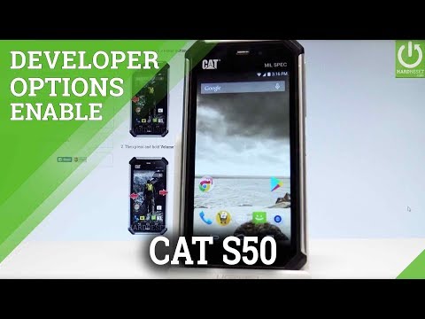 CATERPILLAR S50 ALLOW DEVELOPER OPTIONS / USB Debugging